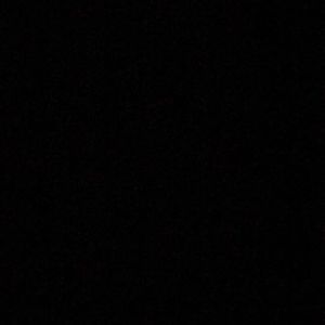 Meet your Posher, Tripp